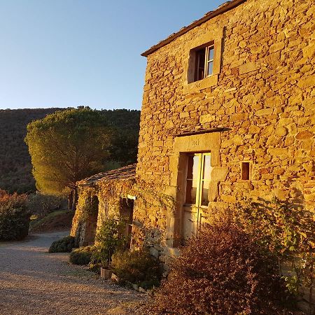 Locanda San Martino A Bocena Cortona Eksteriør billede