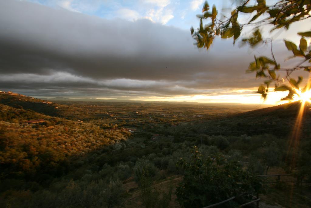 Locanda San Martino A Bocena Cortona Eksteriør billede