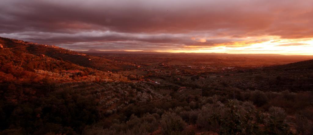 Locanda San Martino A Bocena Cortona Eksteriør billede