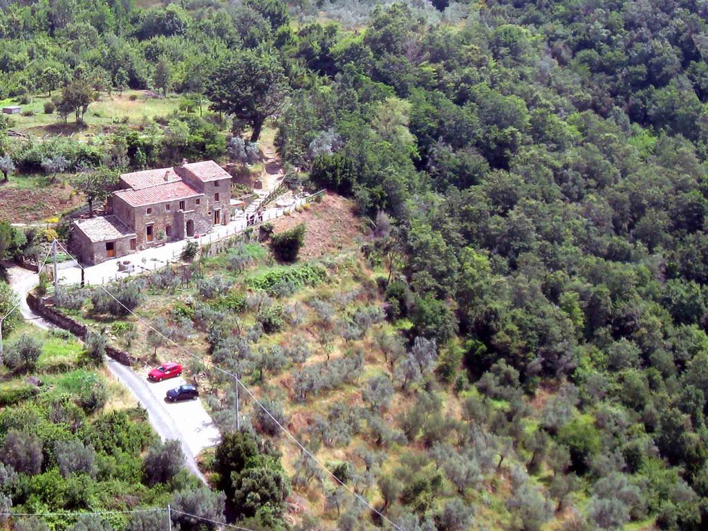 Locanda San Martino A Bocena Cortona Eksteriør billede