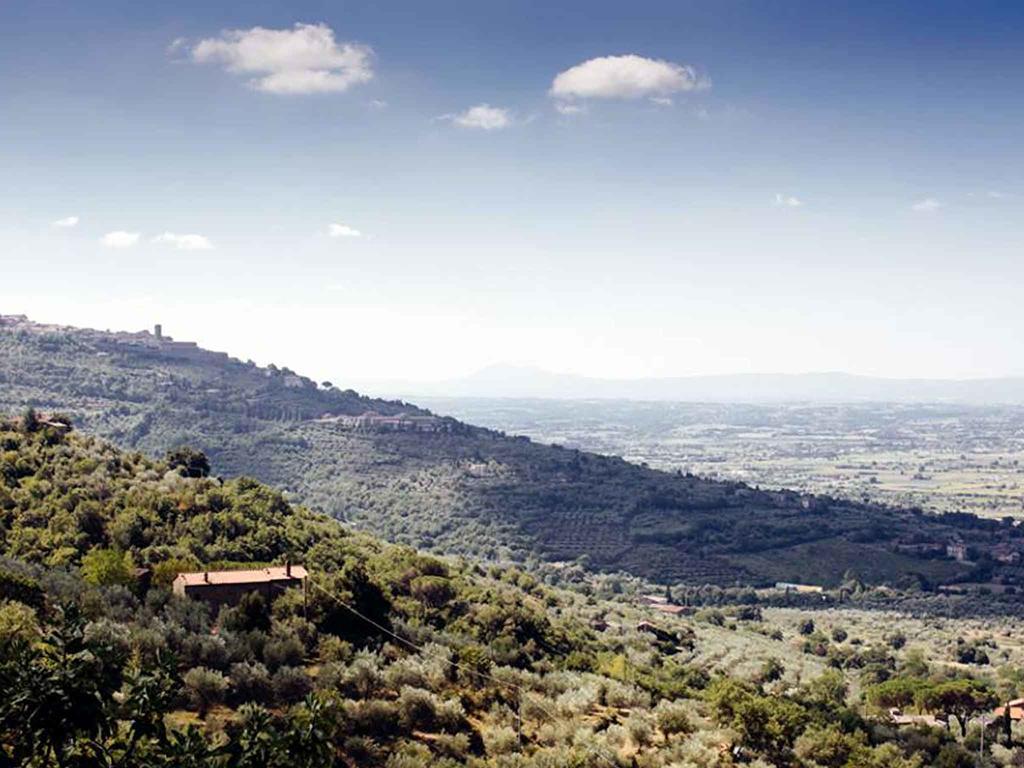 Locanda San Martino A Bocena Cortona Eksteriør billede
